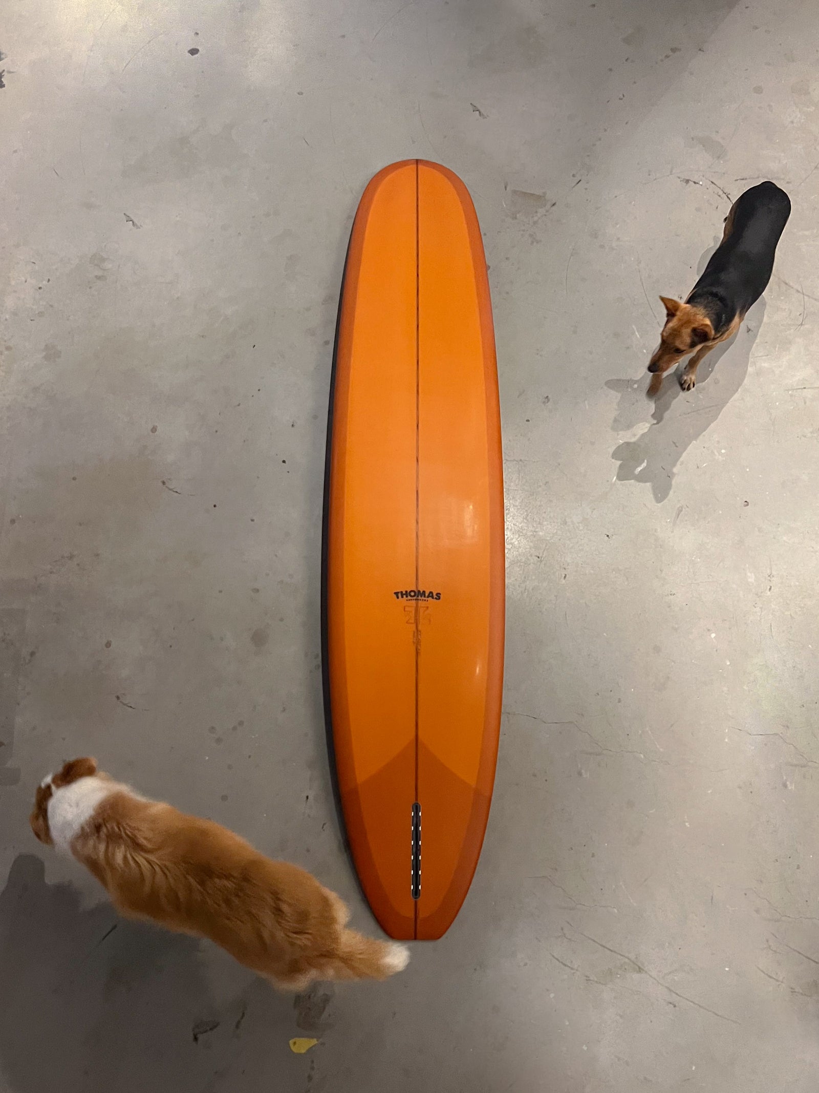 9'6" Malibu #9742