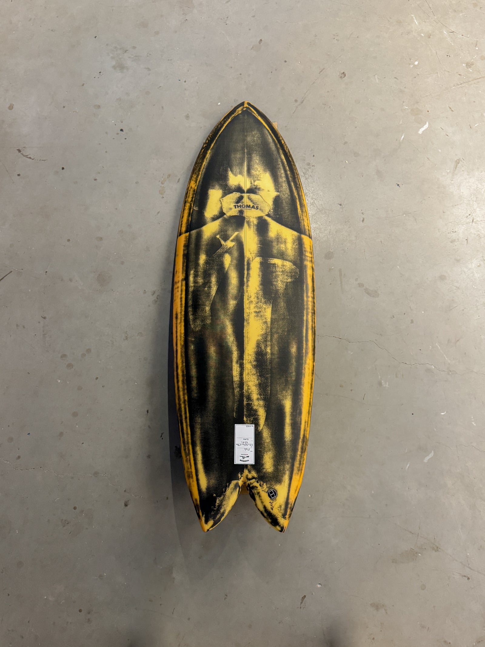 5’5” Fish #10553