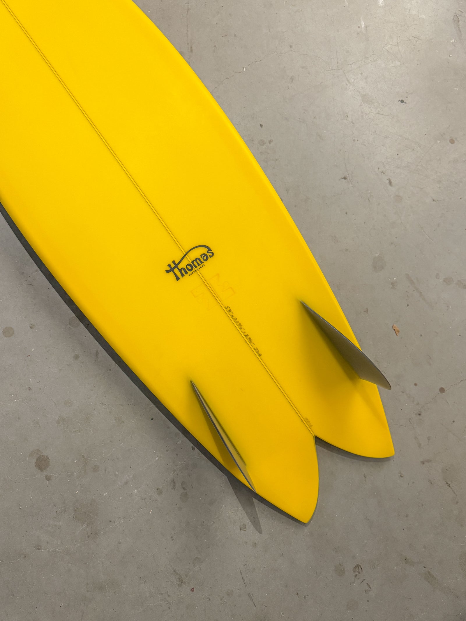 5'6" Fish #11016