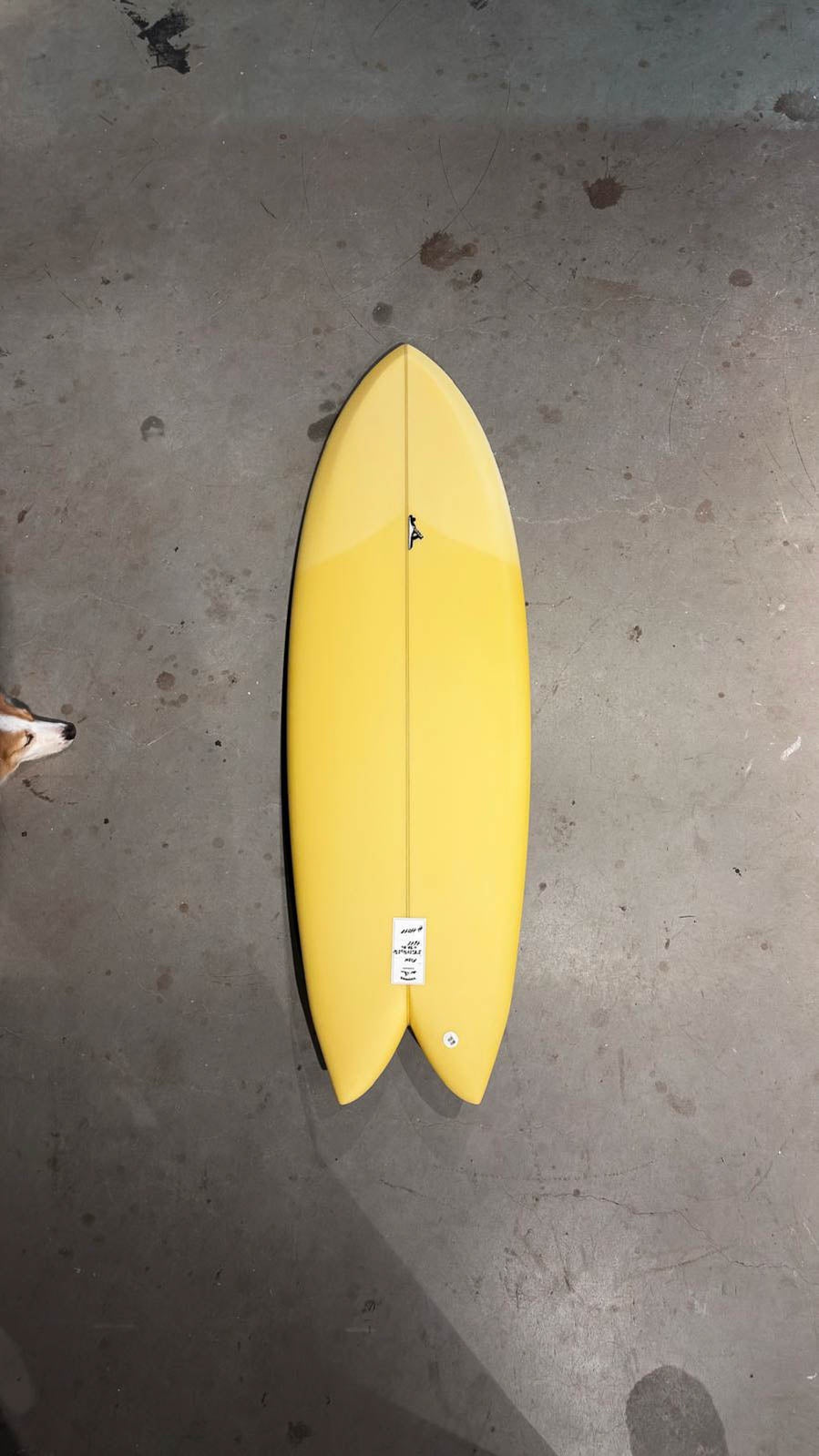5’8” Fish #11018