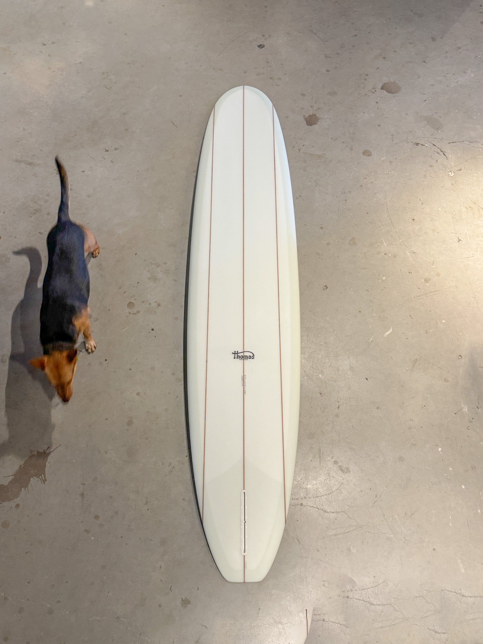 9’9” Harrison #11537